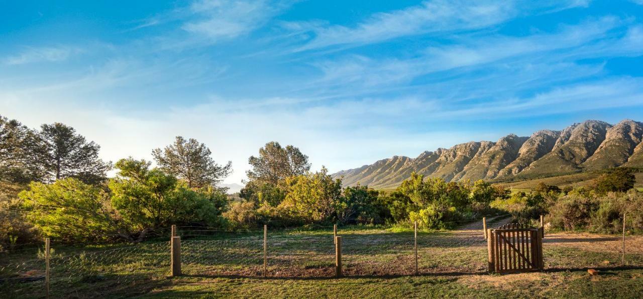 Steenbok Farm Cottages Steenbok Cottage Wolseley Ngoại thất bức ảnh